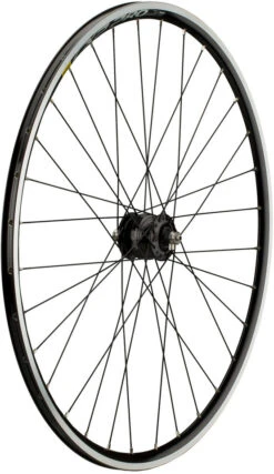 Rueda Delux + CXP Pro + Sapim Race 28"