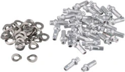 Dt-swiss Llanta RR 421 DB Disc Asymmetric Road 11 Dt-swiss Llanta RR 421 DB Disc Asymmetric Road -Tienda De Bicicletas 215033