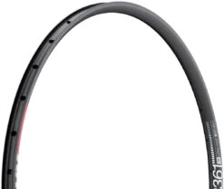 Dt-swiss Llanta XR 361 Disc 29"