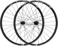 Dt-swiss Juego De Ruedas FR 1950 CLASSIC 30 Boost Disc Center Lock 29"