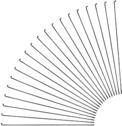 Sapim Radios Race J-Bend Para Rohloff + Cabecillas - 20 Unidades